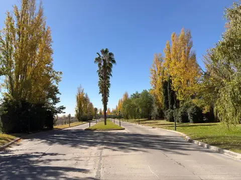 Terreno en Venta de 1121,0 m2
