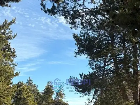 Terreno en Venta de 1000,0 m2