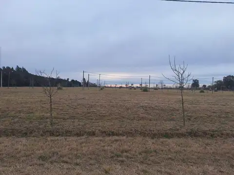 VENTA: Terreno en Casilda