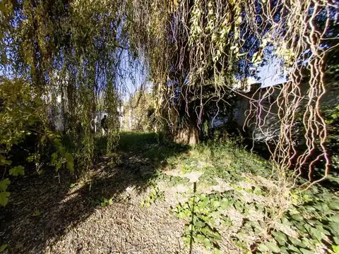 Lote con casa doble frente