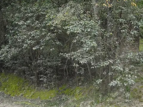 Terreno en Venta de 1150,0 m2