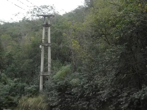 Av. Los Aromos 1100