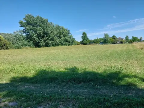 VENTA LOTE CENTRAL LA RANITA PILAR PERMUTA