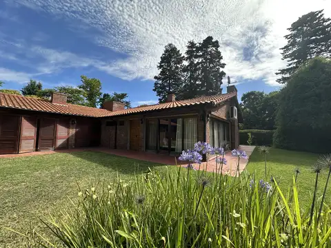 Pintado 900