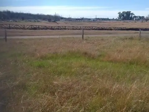 C. Camino A Navarro 500