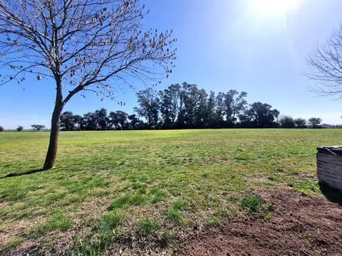 Terreno en Venta de 5000,0 m2