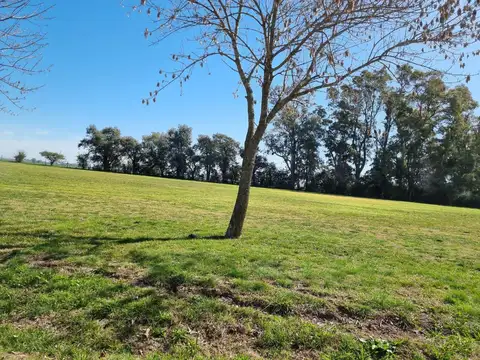 Terreno en Venta en El Malacate, USD 50.000