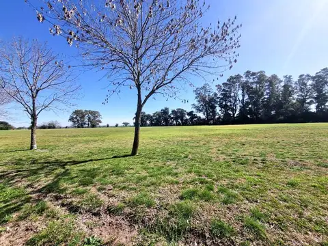 Venta - Lote - Haras El Malacate Club de Campo - Exaltación de la Cruz