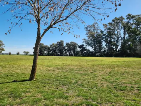 Haras El Malacate Country Club