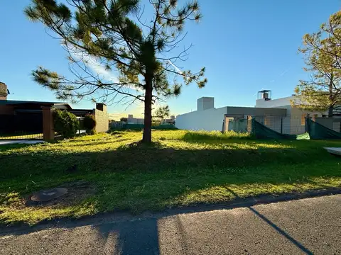 Terreno en Venta 32  mts Frente