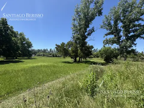 CAMINO CARDALES-CAPILLA