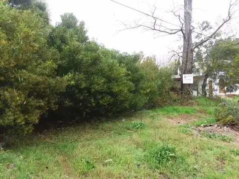 Terreno en Venta 40  mts Fondo