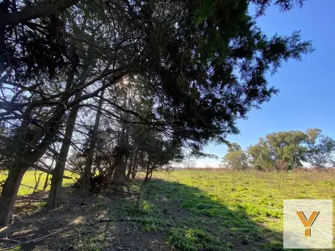 Terreno en Venta 200  mts Fondo