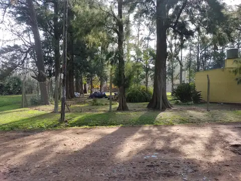 550 y 618 100