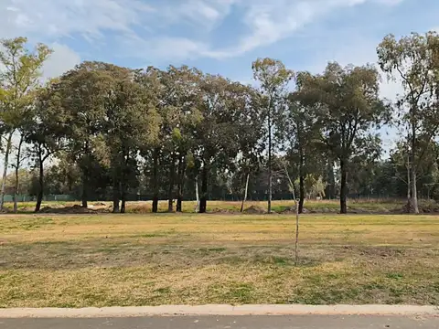 VENTA Lote interno con fondo arbolado 708 mts - Barrio AZZURRA Tortugas - Sector 3 -