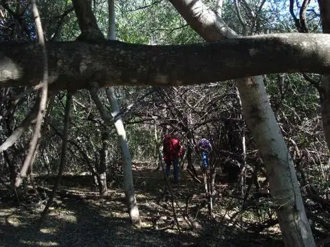 Ruta Nacional 81