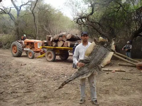 Campo en venta en Coronel Juan Sola SALTA