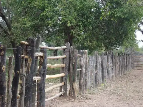 Ruta Nacional 81