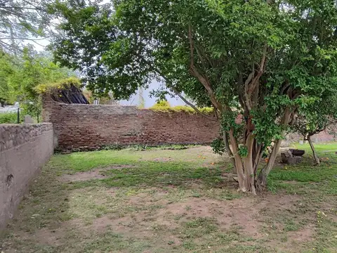 9 de Julio  al 300