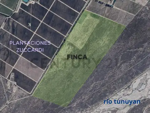 Vista Flores. Tunuyan