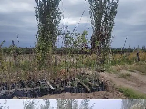 Campo en Venta de 0,01  ha