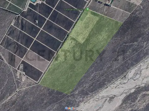 Campo en venta