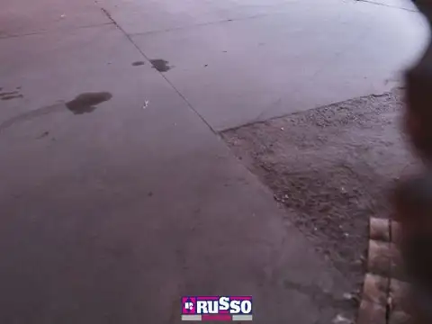ZAPIOLA 3600