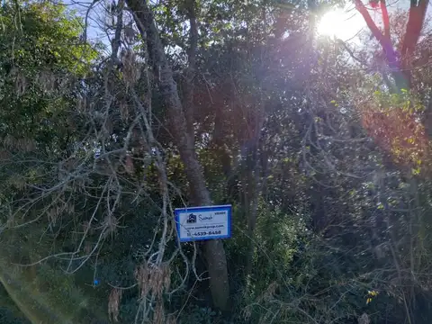 Rio / Arroyo Estudiantes 100