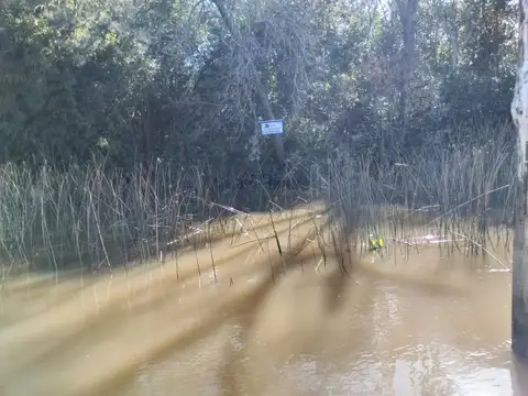 Rio / Arroyo Estudiantes 100
