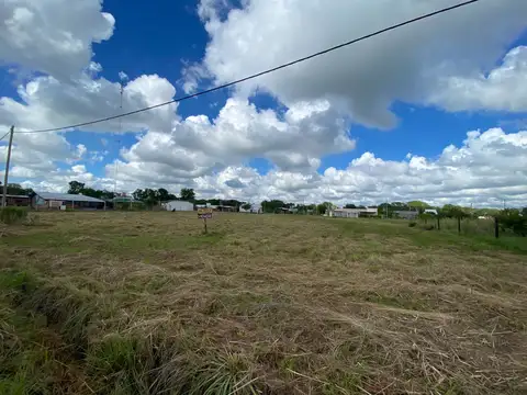 Fincas don Antonio. Colonia