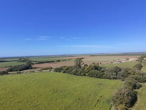 Campo en Venta Agrícola