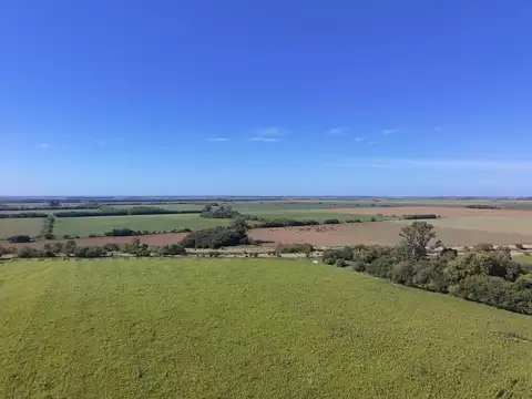 Camino De Santos Vega