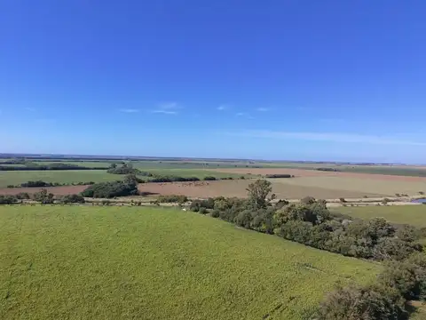 Campo en Venta Agrícola
