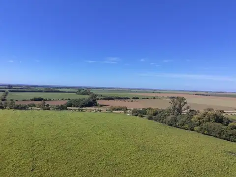 Campo mixto 36 agricolas / ganaderas