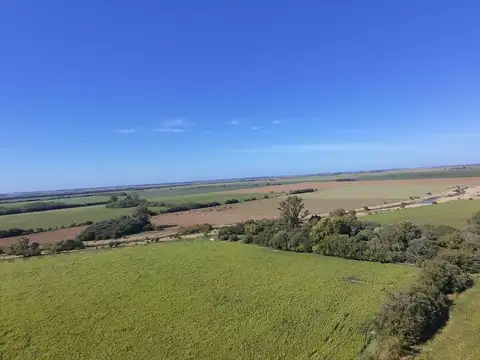 Campo mixto 36 agricolas / ganaderas