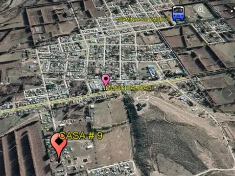 SAN MARTIN 100