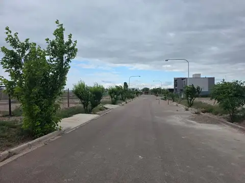 Terreno en Venta de 350,0 m2