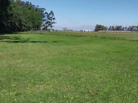 LOTES EN VENTA A 200 MTS DE LA LAGUNA PUCU