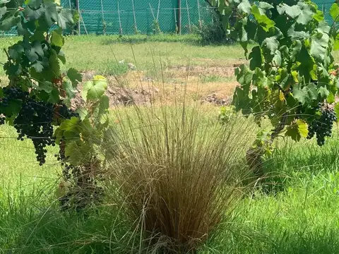 Terreno en Venta de 500,0 m2