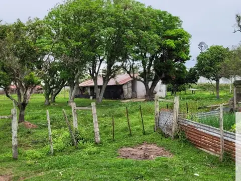 Camino Rural 100