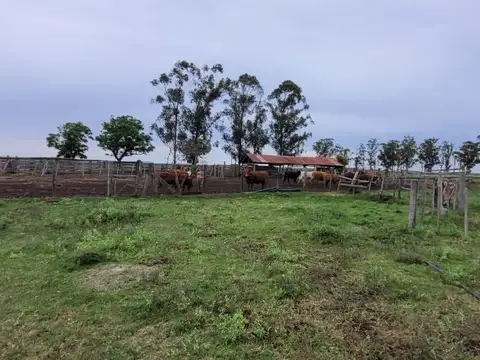 Camino Rural 100