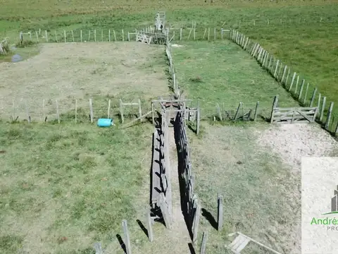 Camino Rural 100