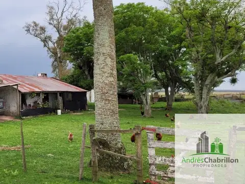 Campo mixto en venta – 2.950 ha – Paso de los Libres, Corrientes