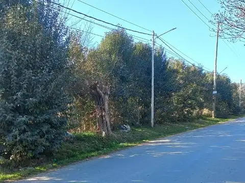 Alborada