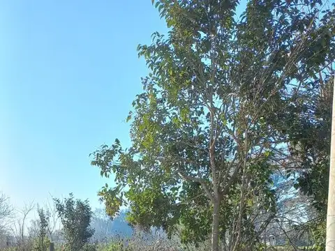 Alborada