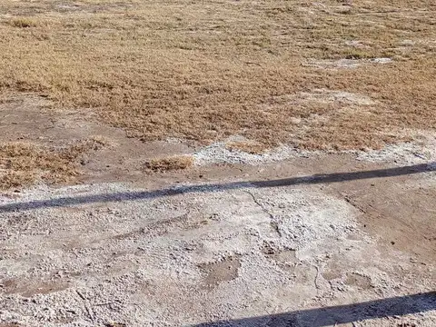 Terreno en Venta en La Primavera, USD 12.000