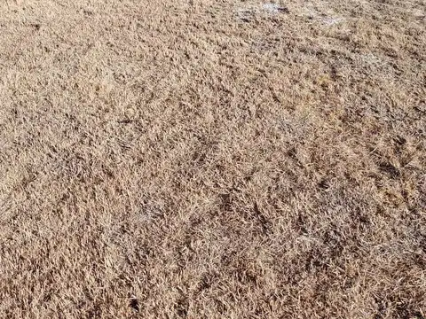 Terreno en Venta de 410,0 m2
