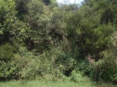 Terreno en Venta, FOS 20