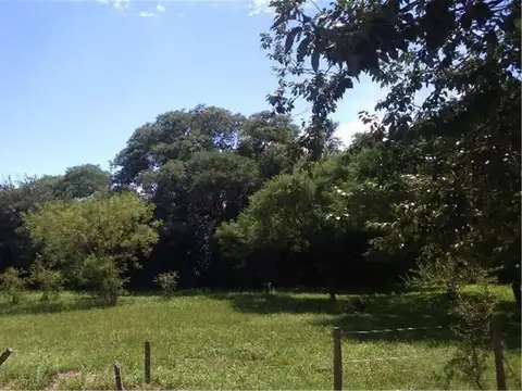 Consultar dirección