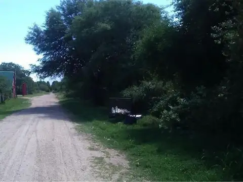 Consultar dirección